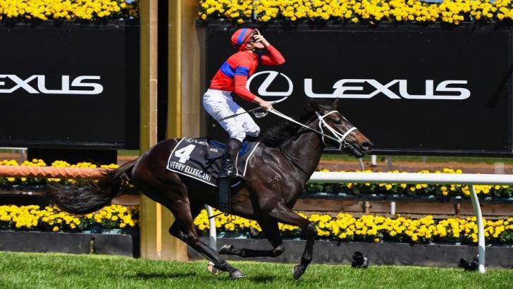Melbourne Cup Tips